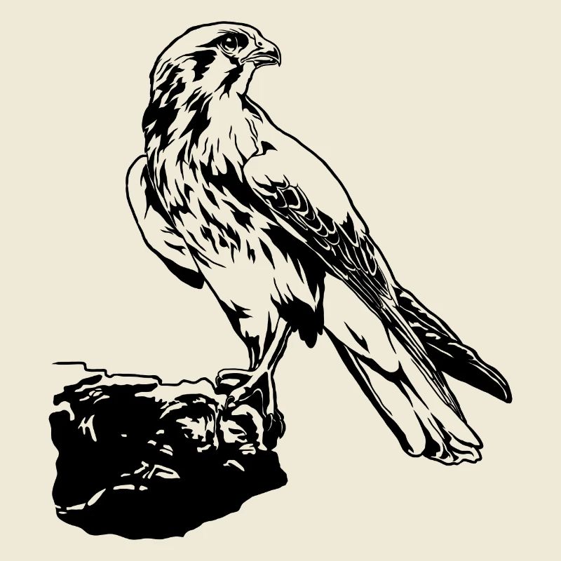 Falke Vogel sitzt auf Baum Cool Vogel Liebhaber Geschenk