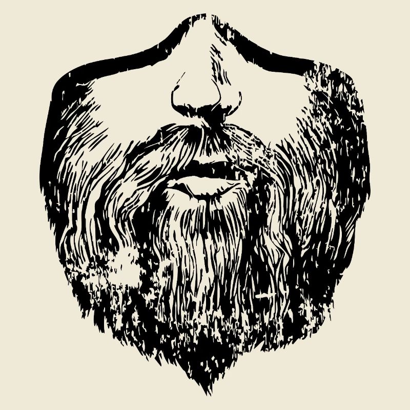 Barbe