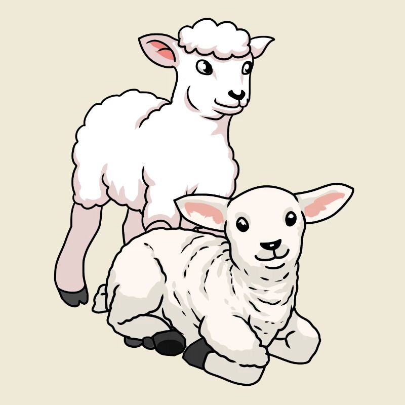 Sheep Easter lamb farm animals kids wool