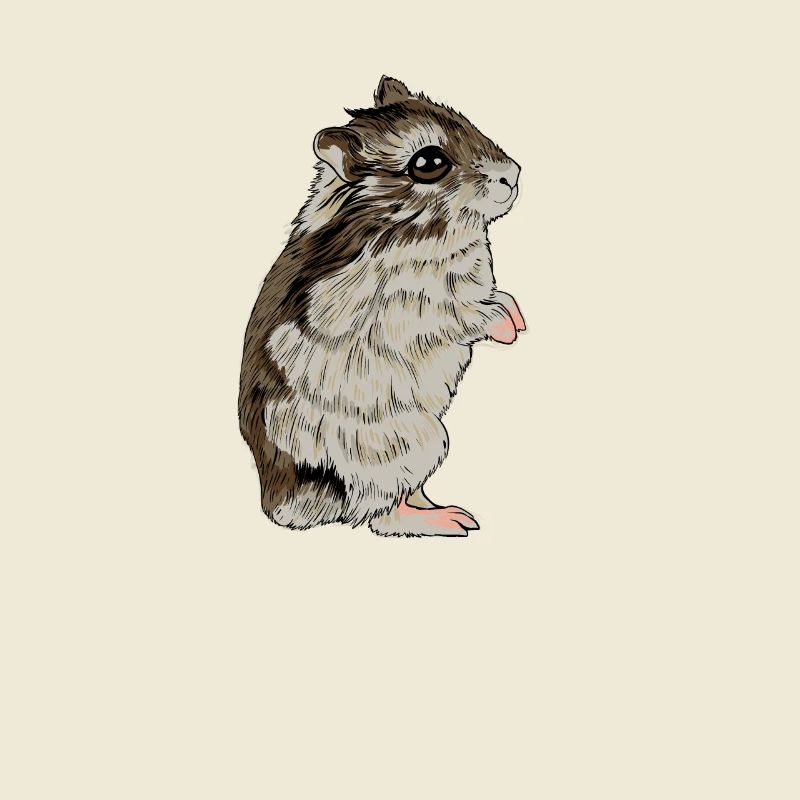 Dzungarian dwarf hamster