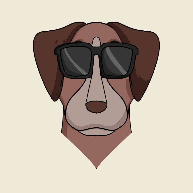 Pointer Hund Hunderasse