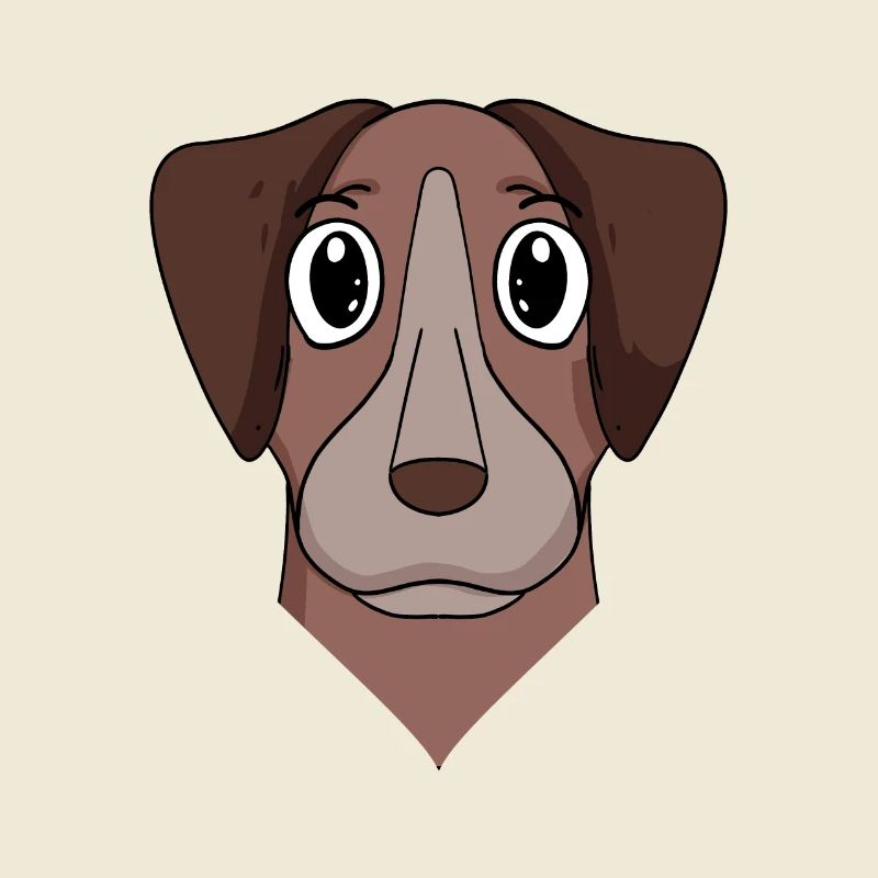 Pointer Hund Hunderasse