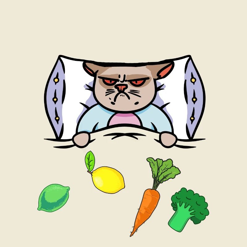 Cat Flu Bed Vitamins Health Sick