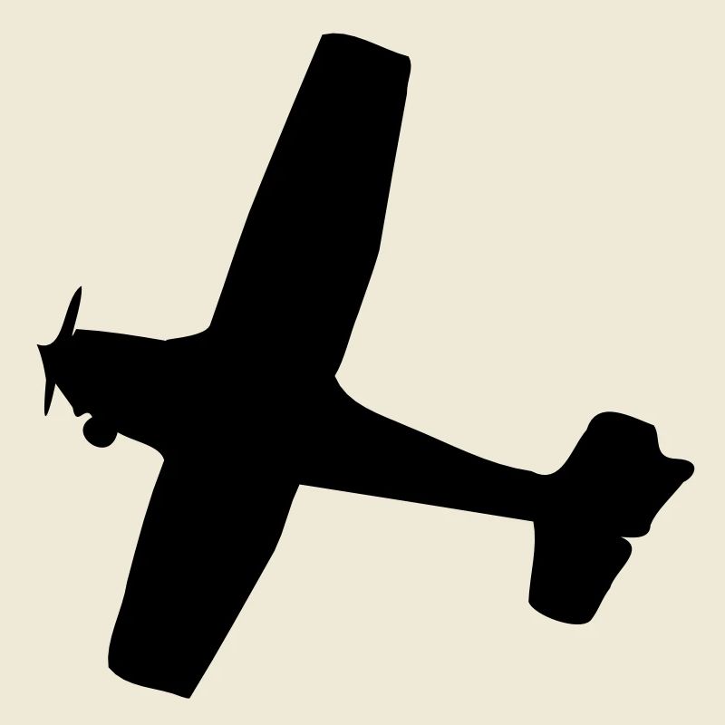 Flugzeug