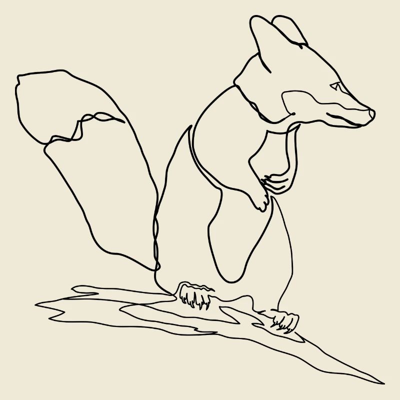 Fox Squirrel Squirrel Fox