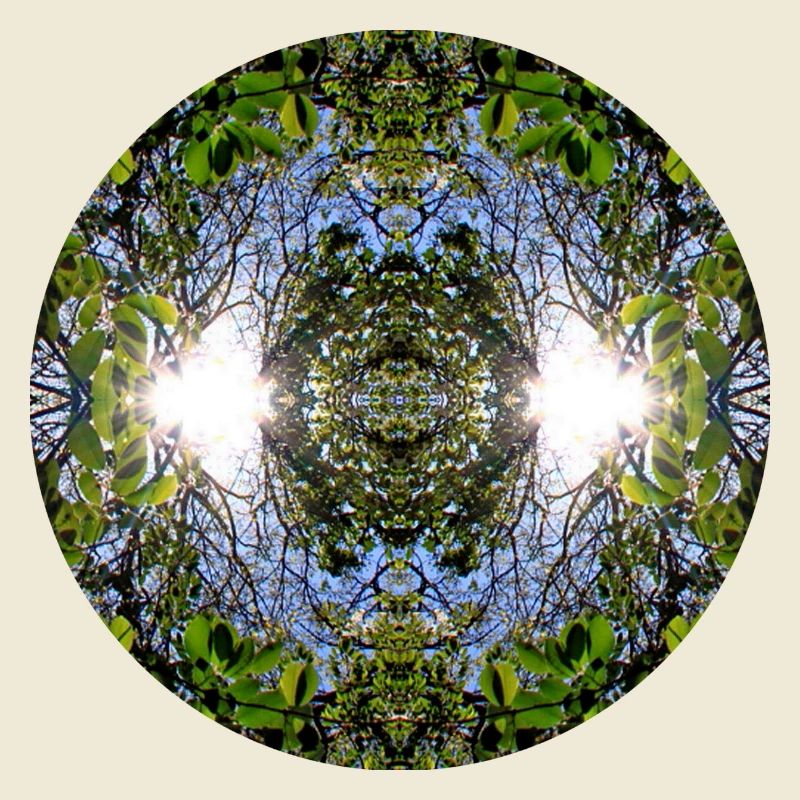 Nature Mandala Source à Nbg Erlenstegen