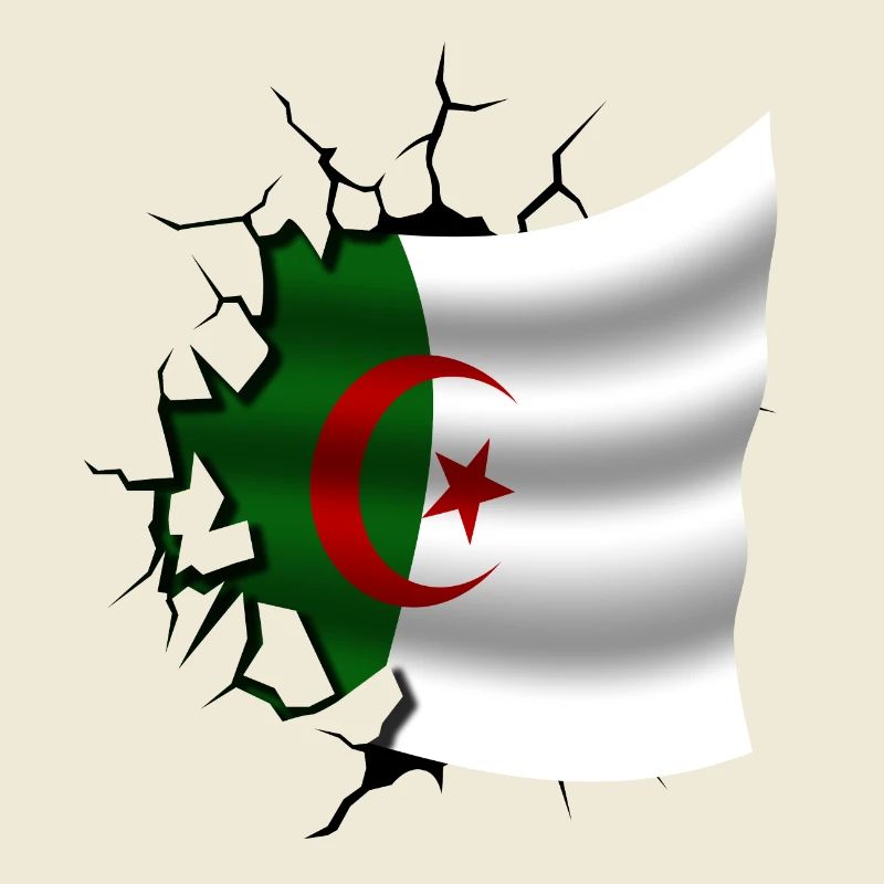 Algeria - Algeria - Torn Flag