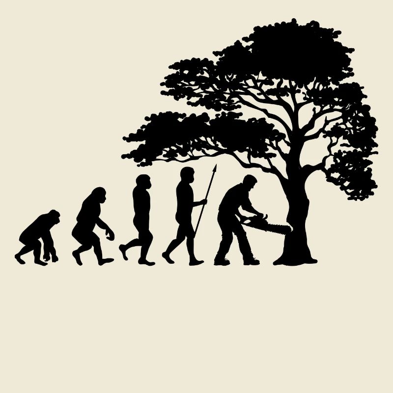 Lumberjack Tree Evolution Saw Sawdust