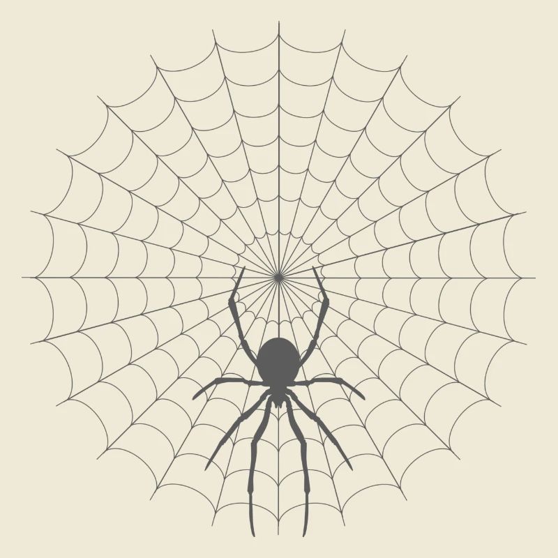 Spider Web Silhouette