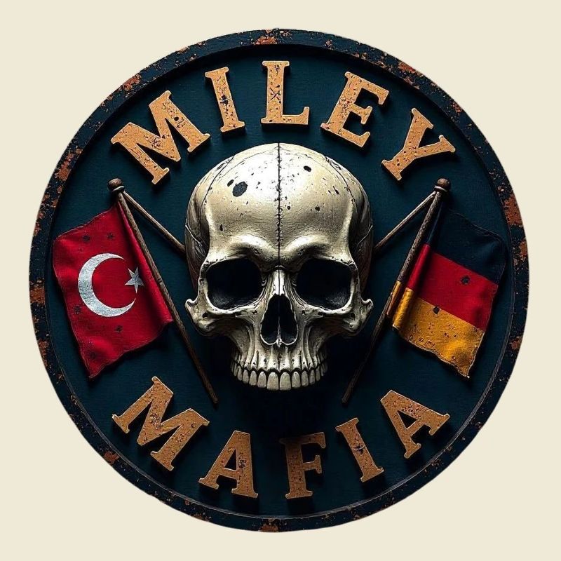 Crâne militaire avec drapeaux