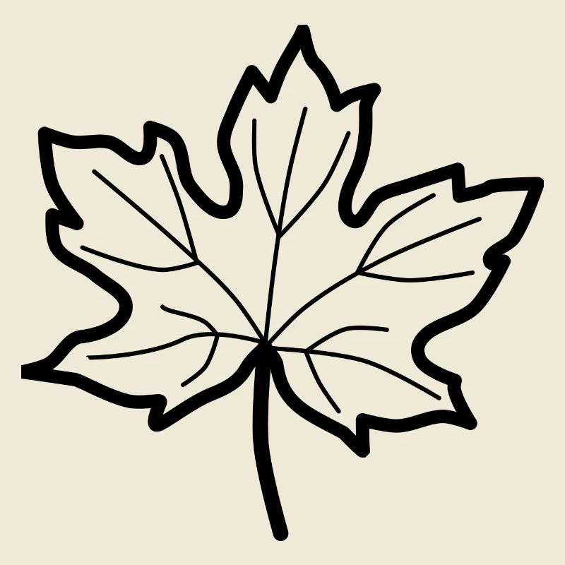 Deciduous leaf - autumn