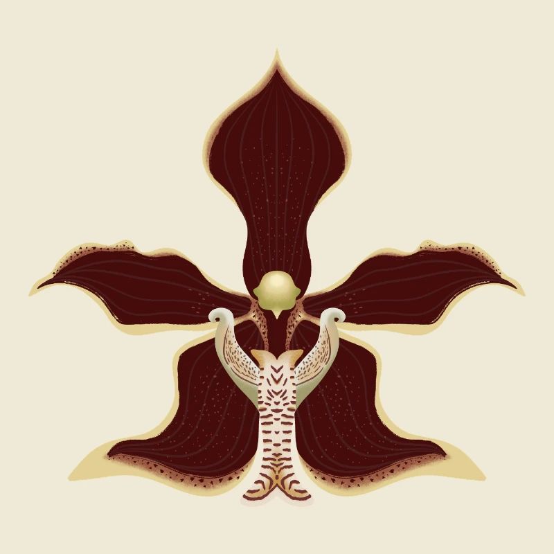fleur d’orchidée