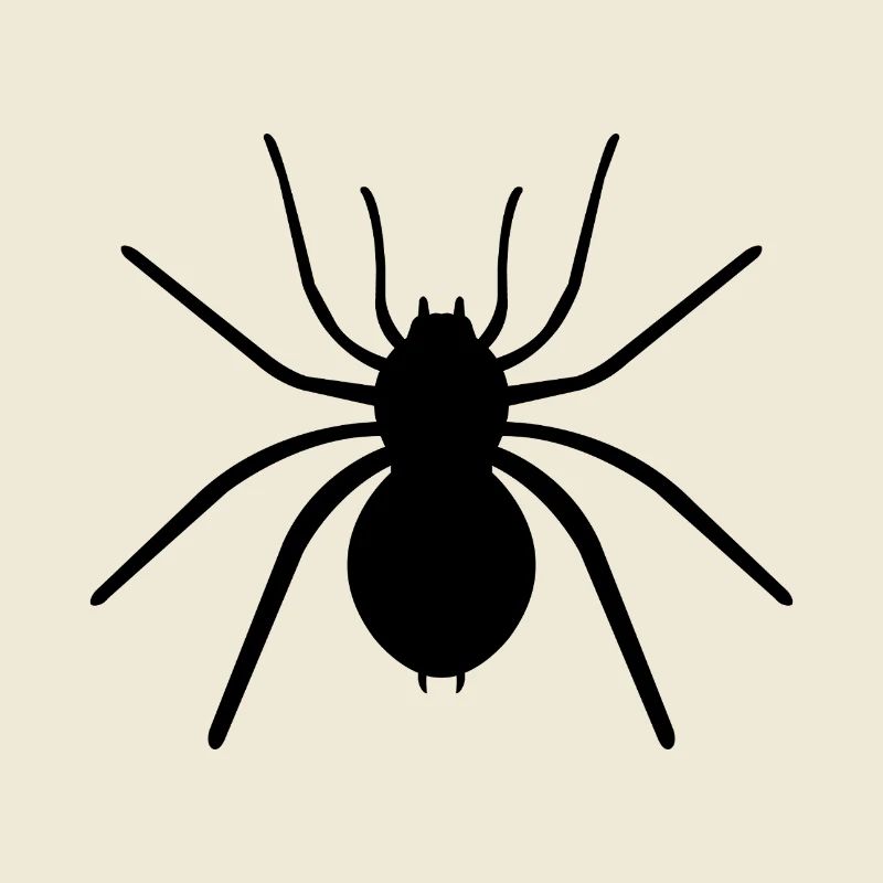araignée