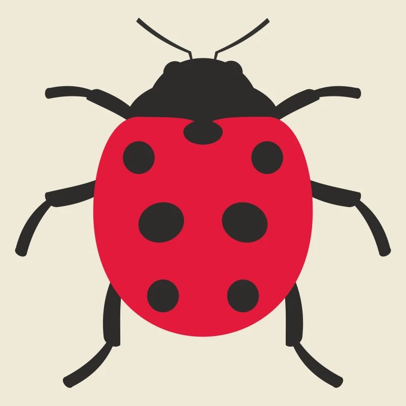 Conception de coccinelle