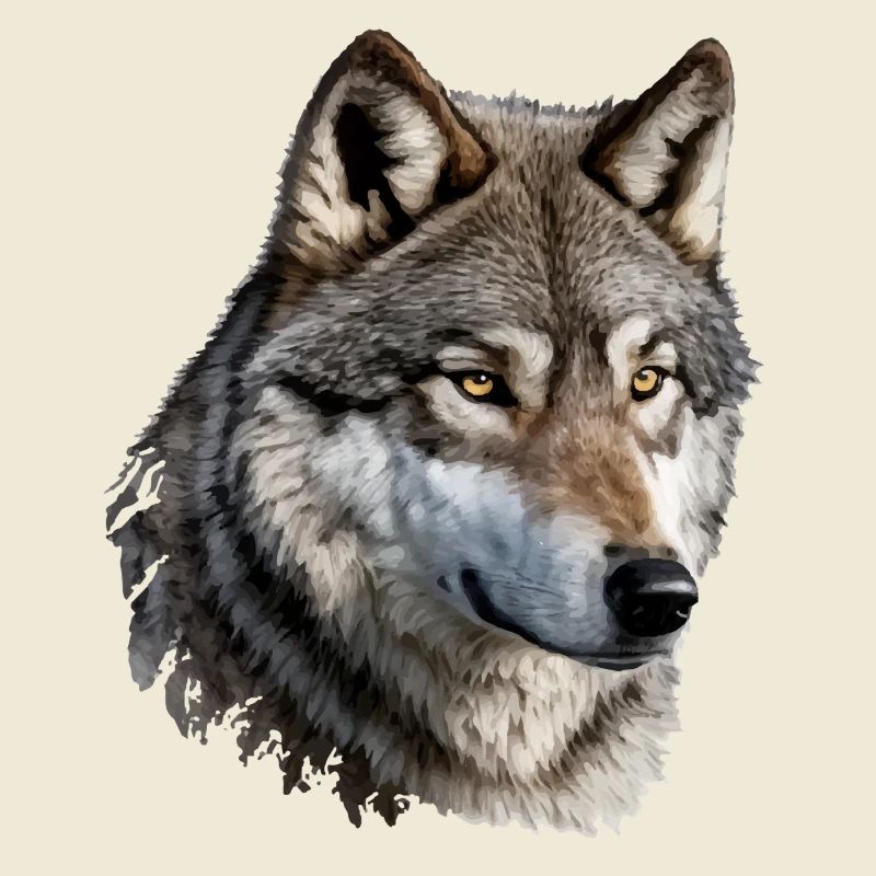 Der Wolf
