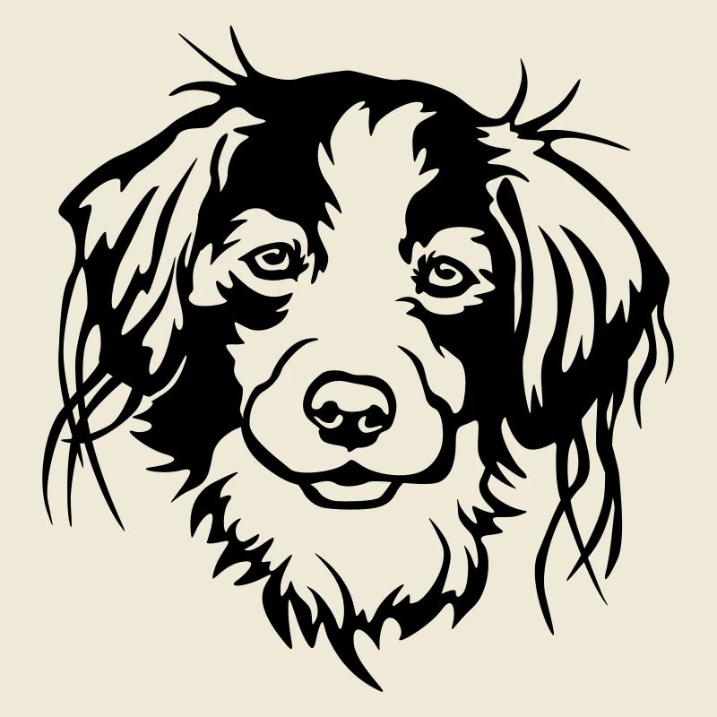 Kooikerhondje head