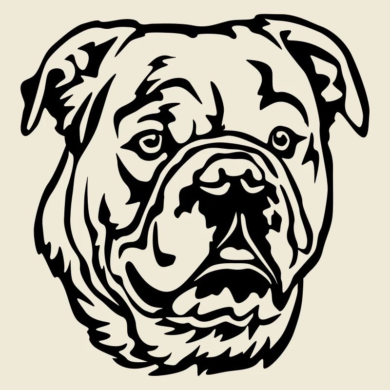 Tête de bouledogue continental