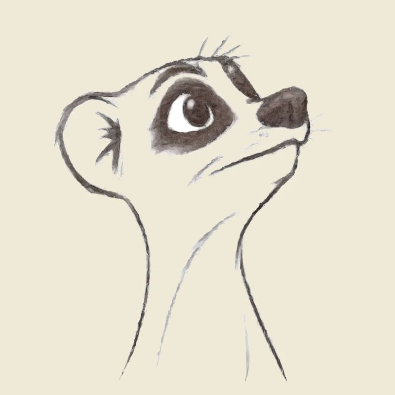 Suricate d’interrogation