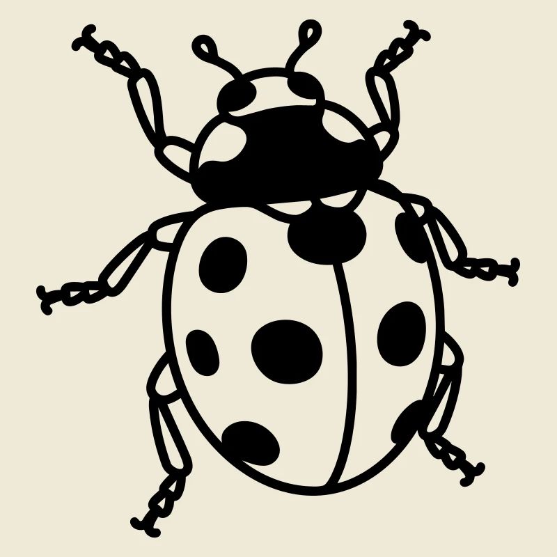 Ladybug