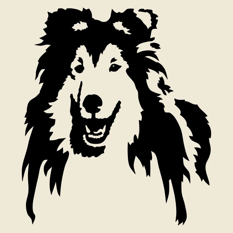 Collie