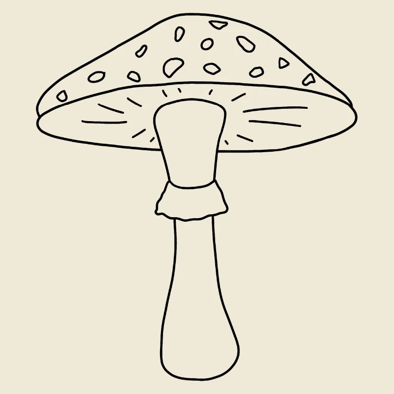 Champignon noir et blanc
