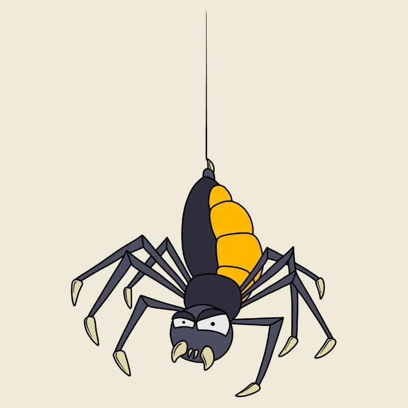 Spider