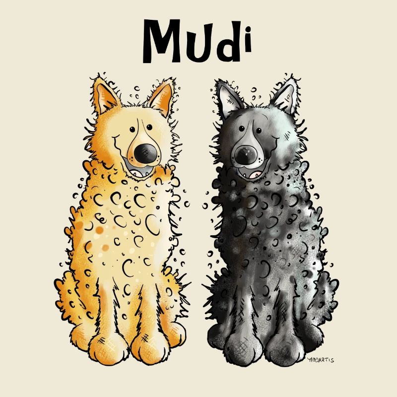 Two Mudis