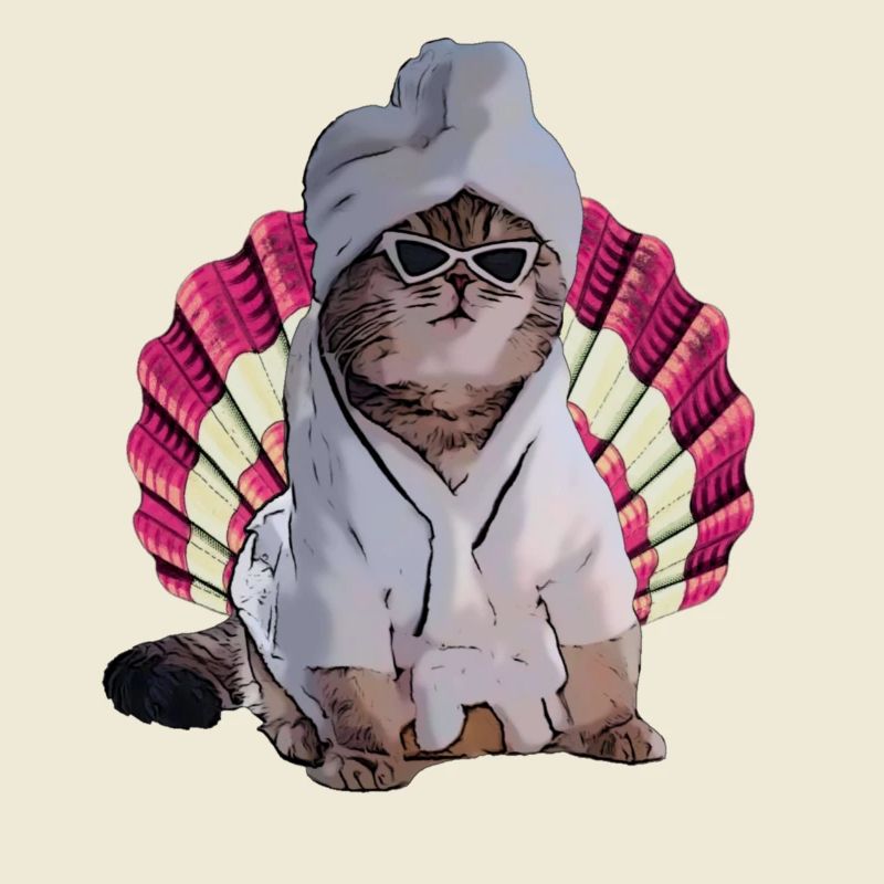 chat cool dans le spa
