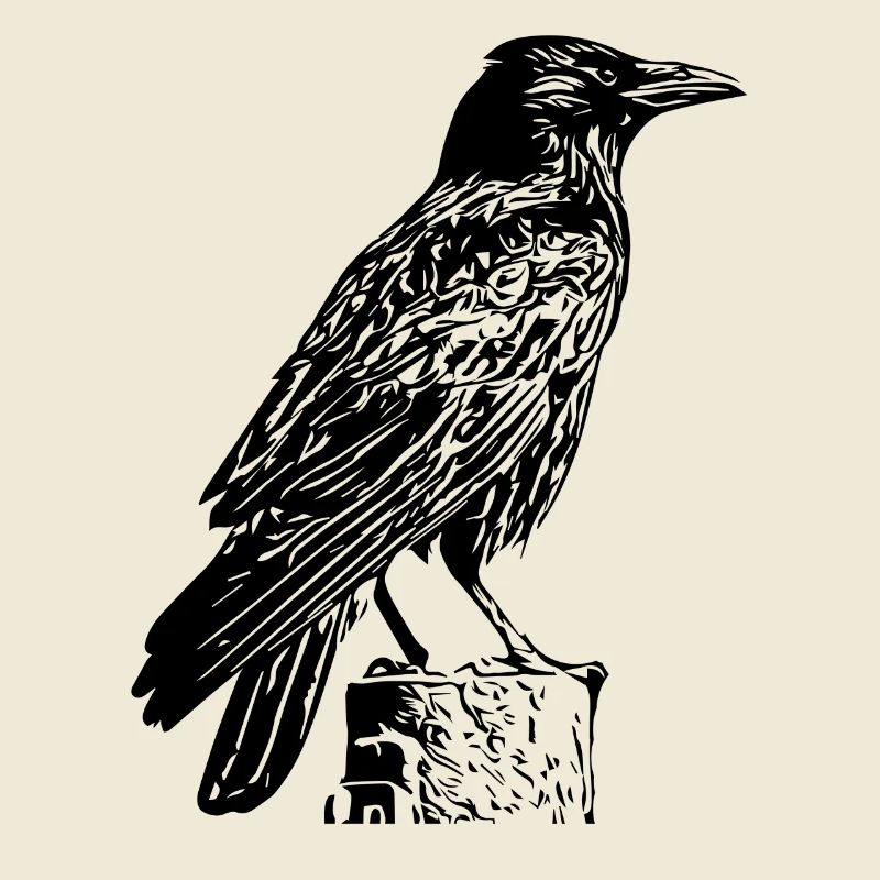 black raven