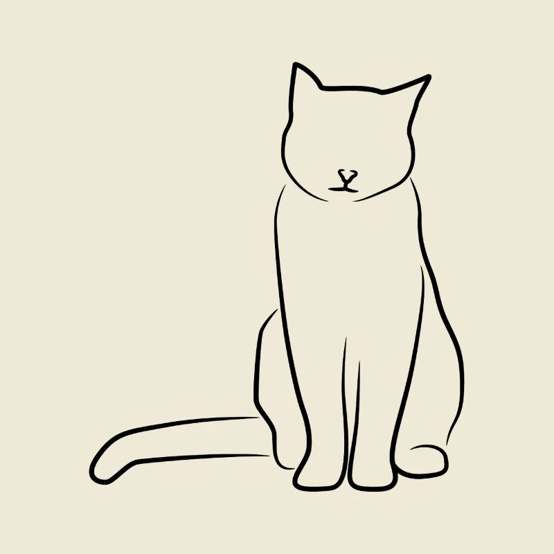 Cat Drawing