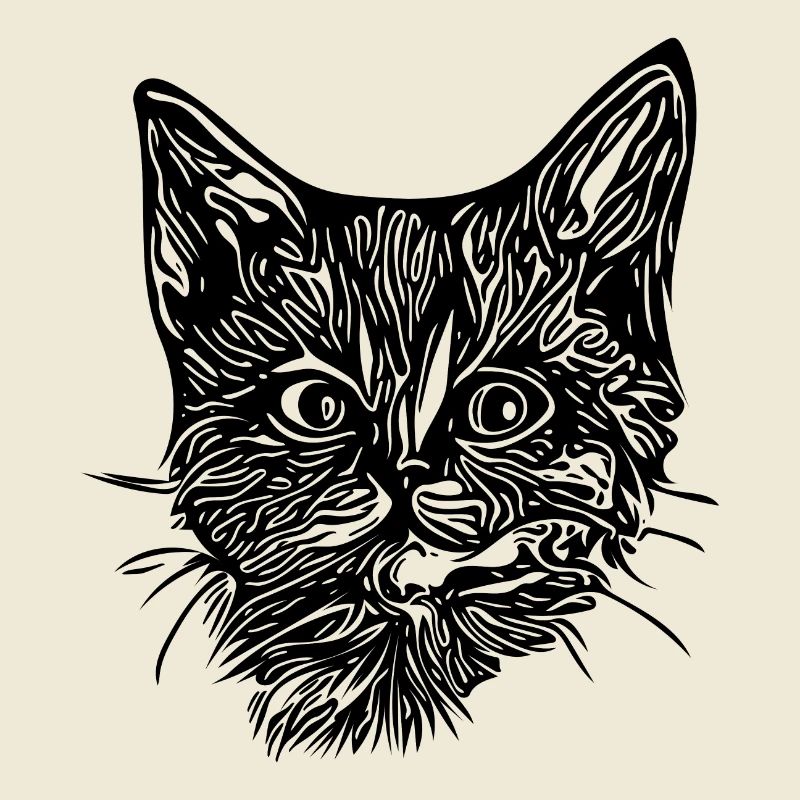 Chaton mignon et mignon