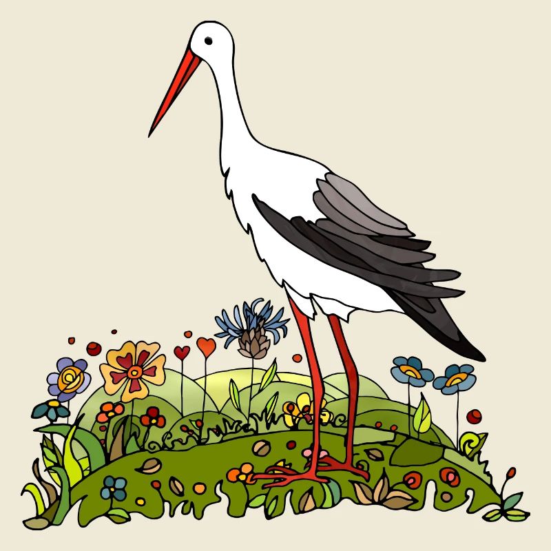Stork bird