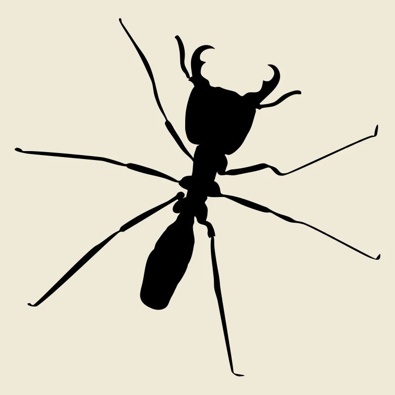 Ant ant ant ant ant ant ant
