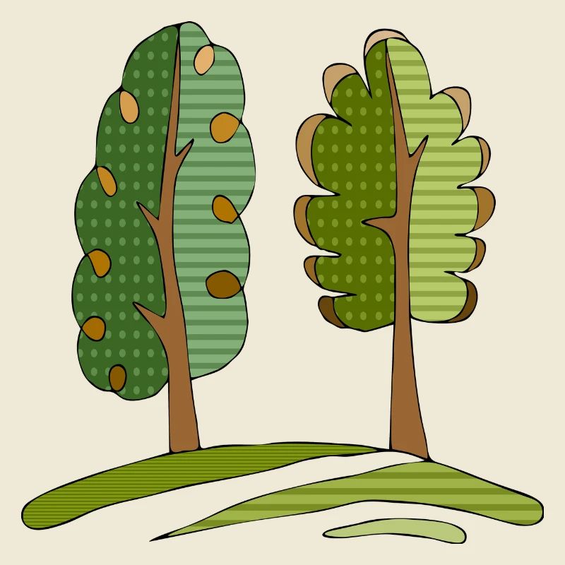 Baum
