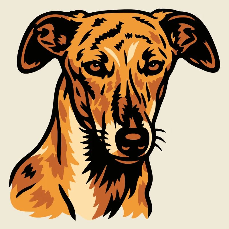 Galgo Español – Grâce Espagnole