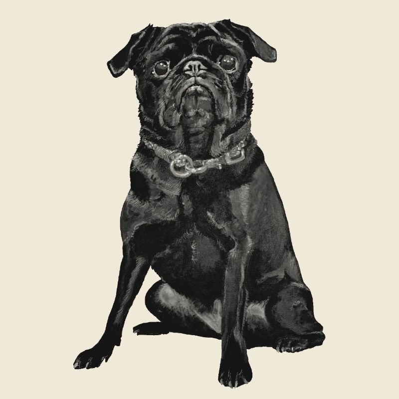 Mops