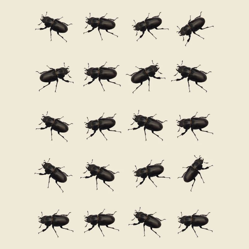 Stag Pattern