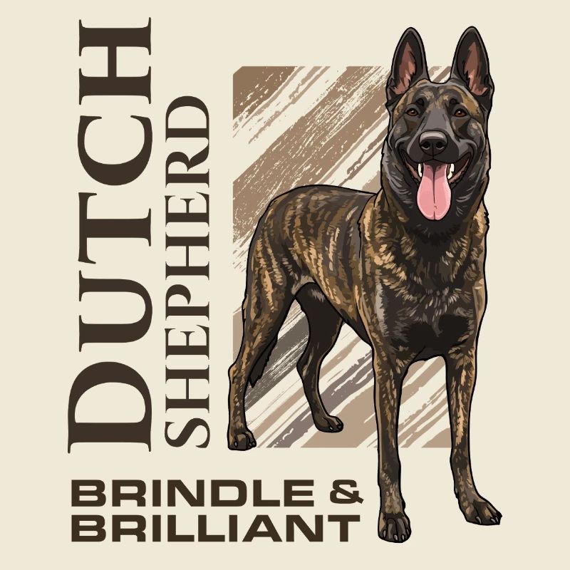 Dutch Shepherd – Dutchie