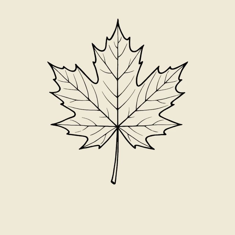 Maple Leaf Line Design