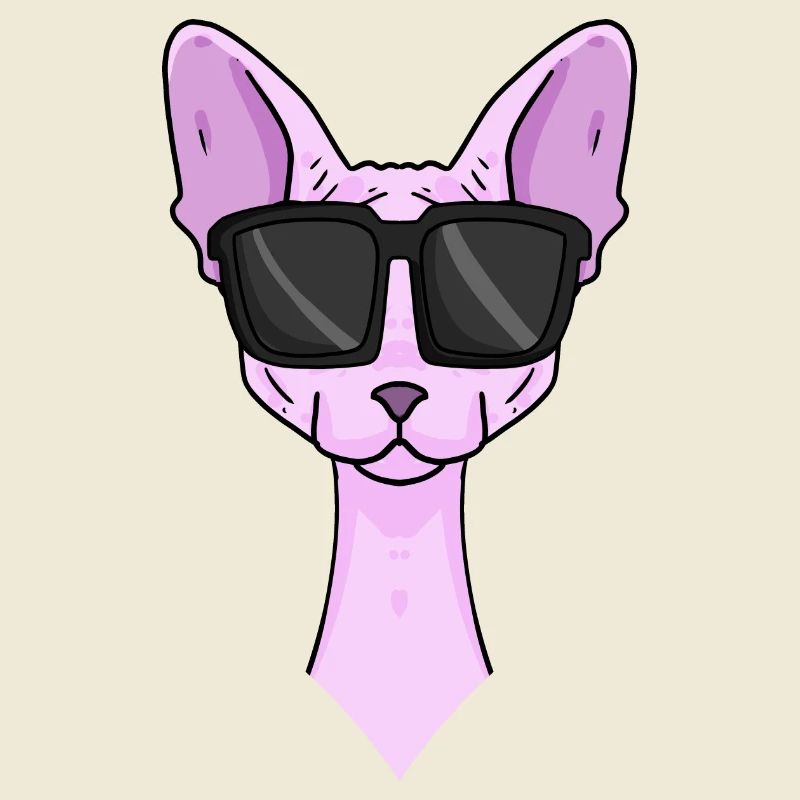 Chat Sphynx avec lunettes de soleil