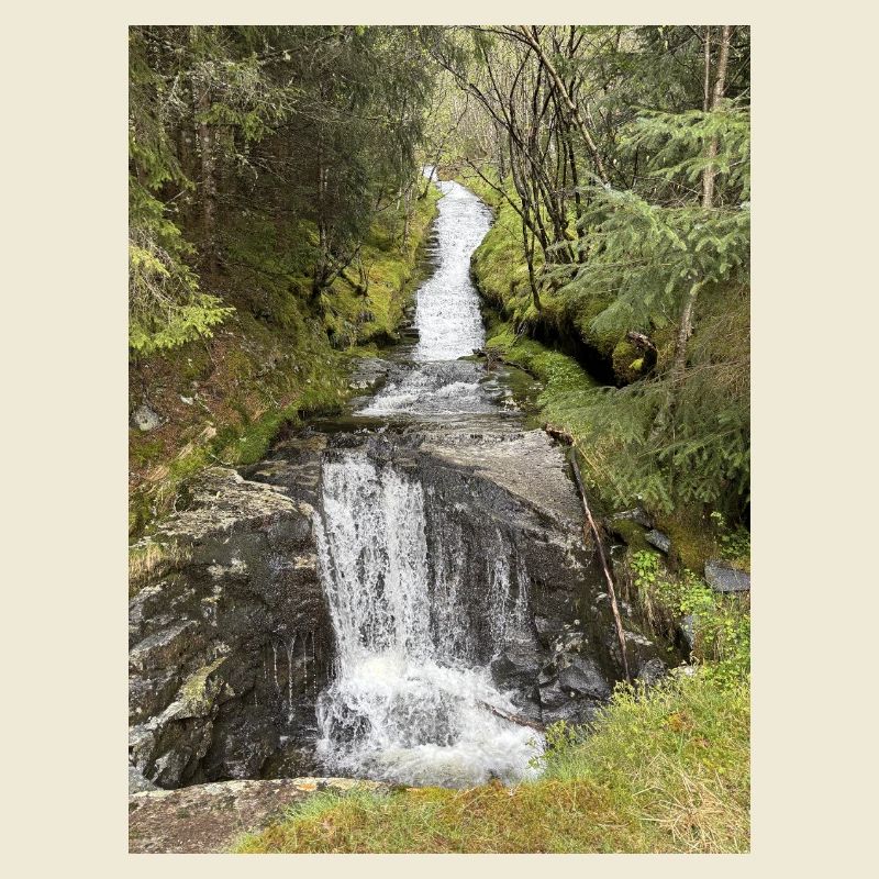 Conception de cascade de parc naturel
