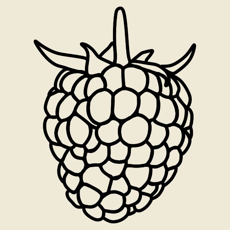 Raspberry Silhouette