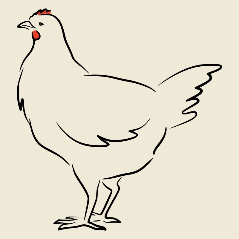 Hen. Chicken. Red comb