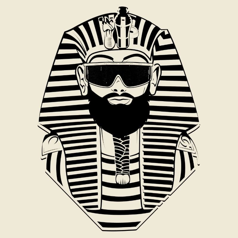 Pharaoh with sunglasses - Egypt Sphinx