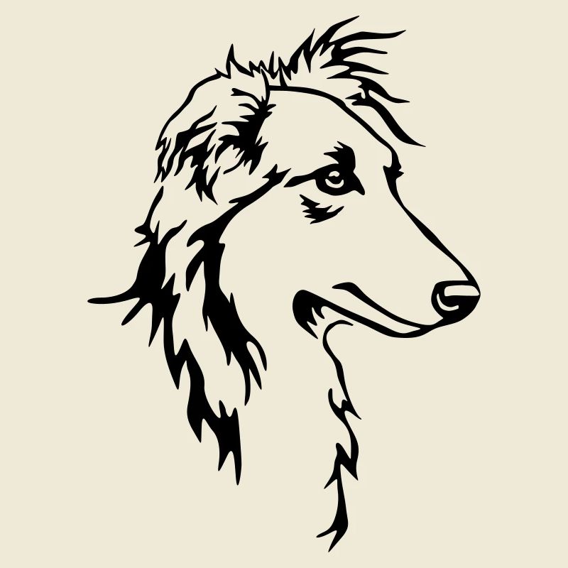 Tête de whippet cheveux longs