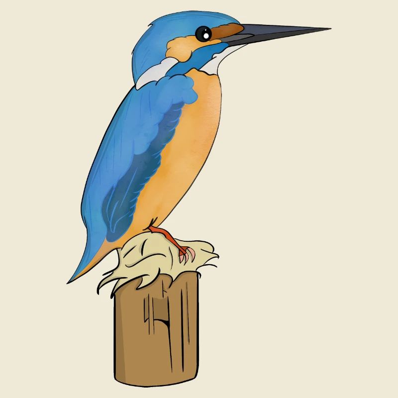 Eisvogel Vogel