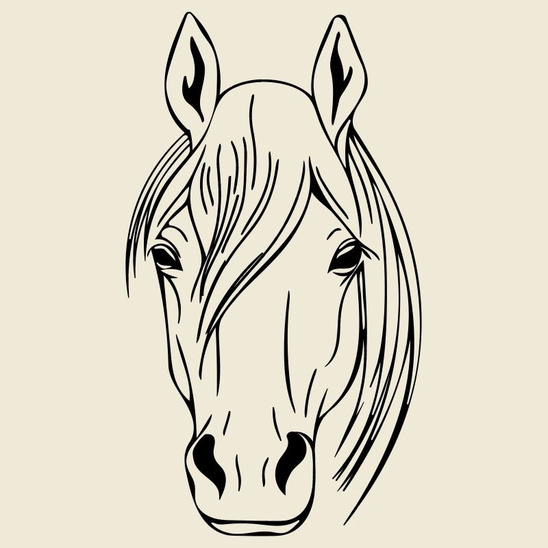 Pferdekopf Vector