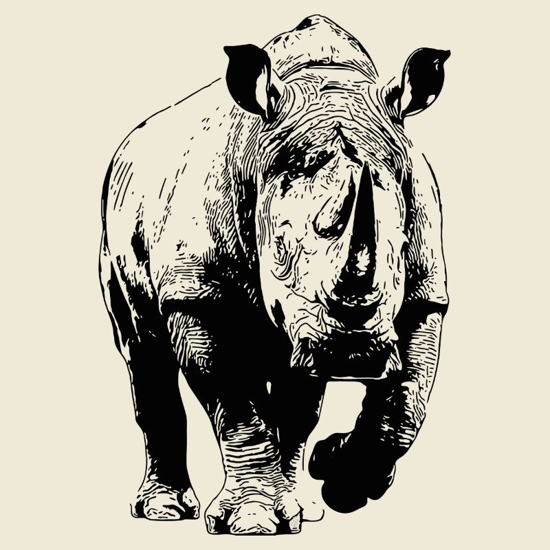 Rhinoceros