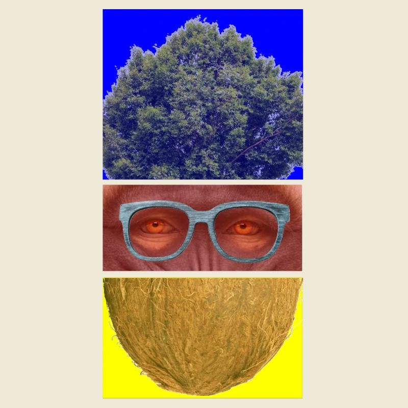Triptyque coloré: arbre, visage et noix