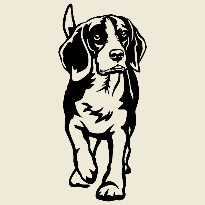 Beagle